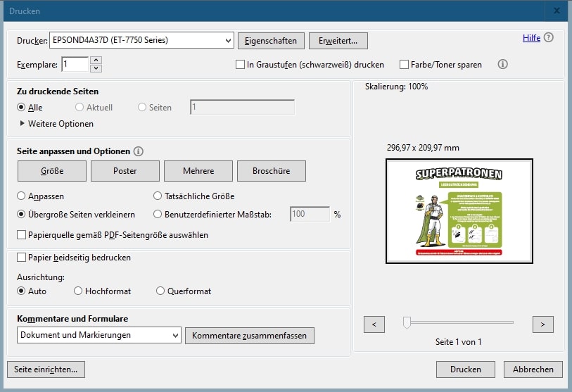 Screenshot Printer Settings